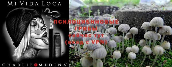 альфа пвп Белокуриха